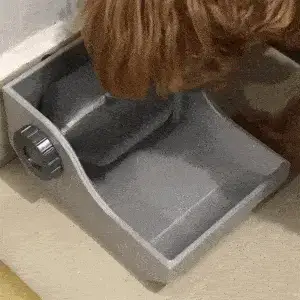 DOG BOWLS VERSION I