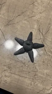 Star fish keychain