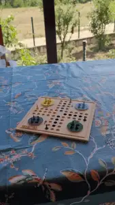 Ludo game