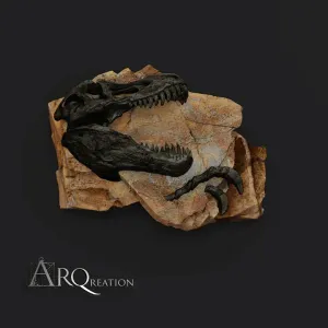 T. Rex Skull Fossil