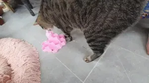 Cat Feeder Castle - slow cat feeder/treat dispenser