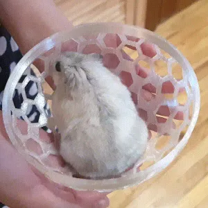 Hamster ball