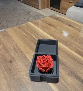 ETERNAL FLOWERS IN A BOX / PRINT IN PLACE BOX