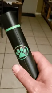 Cat Noir Collapsible Sword