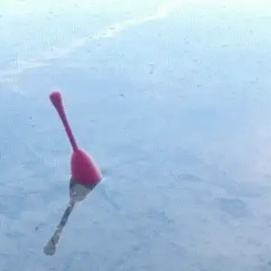 Fishing float