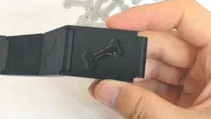 dog collar狗狗项圈