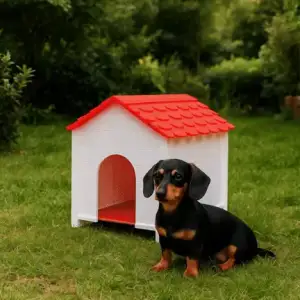Dog House Customizable