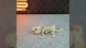 Articulated Skeleton Cat
