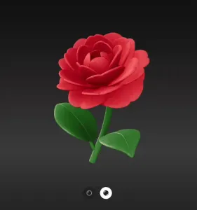 Camelia flower
