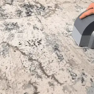 HANDHELD CARPET CLEANER