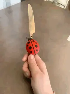 Ladybug Magnet