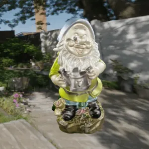 Dwarf garden gnome nain de jardin