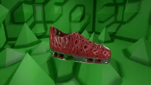 Dino Shoes