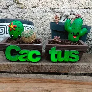 CACTUS POT