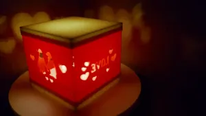 Modular Shadow Box