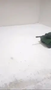 TANK TRACKS
