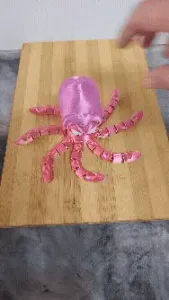 Tentacle Tantrum Octopus