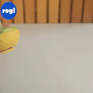 SNAKE CARTOON, FLEXI, PRINT-IN-PLACE