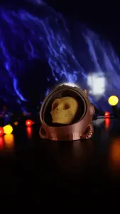 ASTRONAUT HELMET