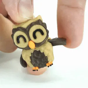 Tiny Owl