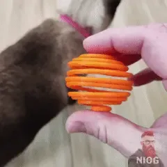 Spring Ball Cat Toy 🐾 – Bouncy, Round Feline Fun!