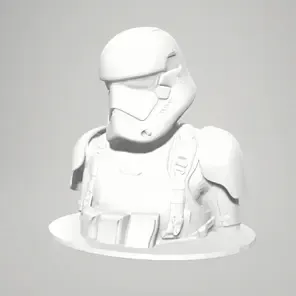 First order trooper bust