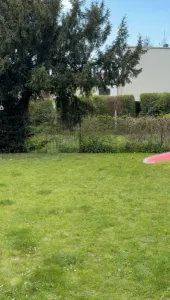 Mini Plane Glider