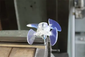 Fan