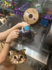 Cat Massager v02 (LOW POLYGON)