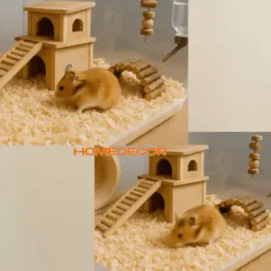 Hamster House