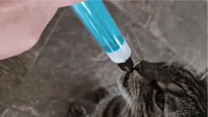 TPU kitten feeding nipple attachment for syringes