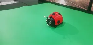 🐞🐞🐞The cute Lady Bug🐞🐞🐞