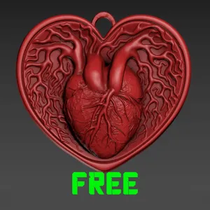 Anatomic Heart Pendant Free