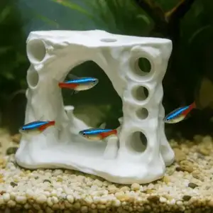 Fish Cave