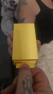 jumping spider joke box