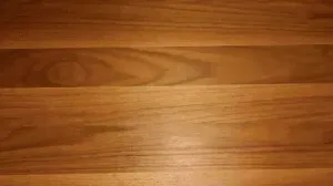 Handy airtight cat food storage box