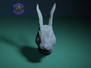 RABBIT HEAD