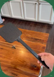 Fly Swat
