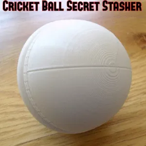 Cricket Ball Secret Stasher