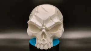Battle Scarred Skull - Dark Gothic Decor