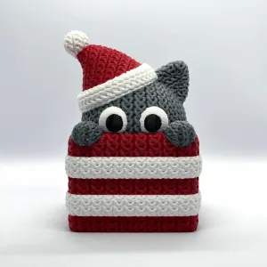 Knitted Cat Gift Box