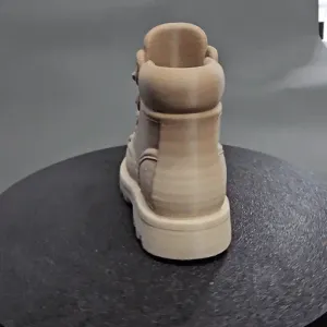 CAT Boot