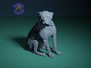 ROTTWEILER DOG SITTING