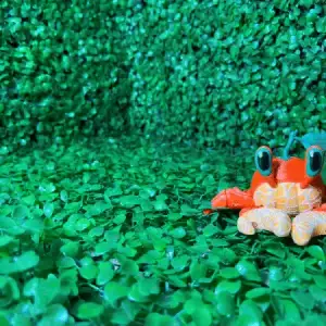 CUTE ORANGE CRAB ARTICULATED - FLEXIBLE STL & 3MF MULTICOLOR