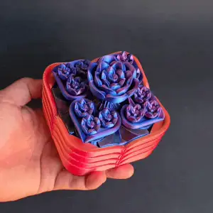 mechanic hearts box (no multicolor needed)