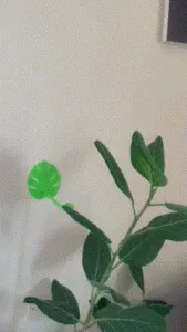 Plant holder Original