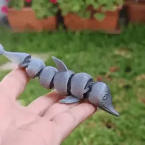 Curious dolphin