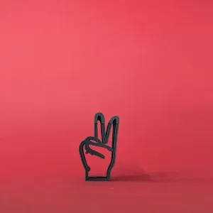 Text Flip - V (Dactylology)