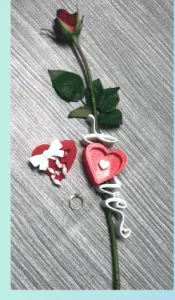 Valentine's day surprise for her