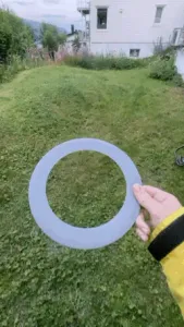 Frisbee disc